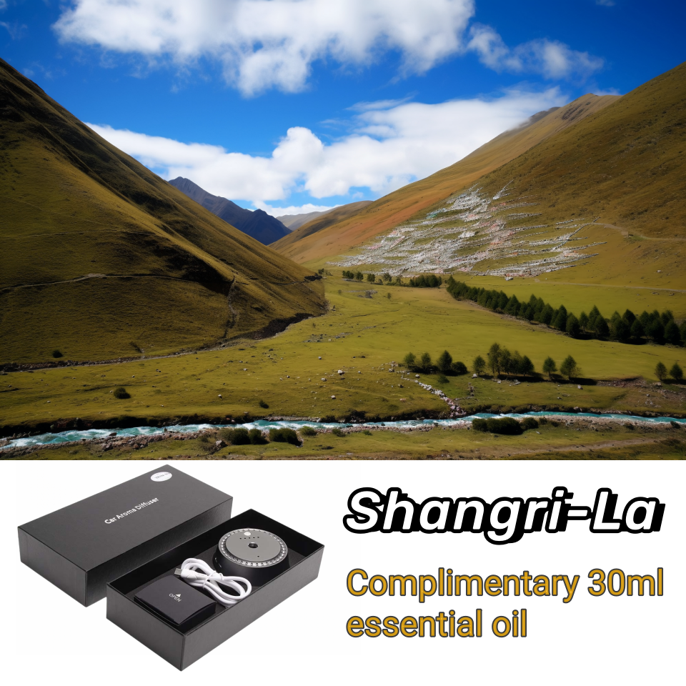 Car Mounted High-End Intelligent Spray Fragrance With Strong And Long-Lasting Aroma Alloy Material Accessory Car Air Freshener: GRAY