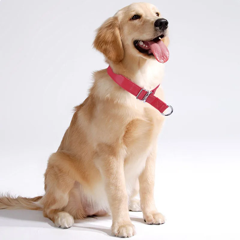Collar antideslizante de cuero PU para perro, cadena de estrangulamiento para entrenamiento de perros, súper suave, duradero y fuerte, adecuado para caminar