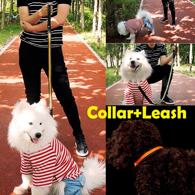 LED Glow Pet Halsband Touw Flash Light Veiligheid Riem Hond Puppy Harnas Leash Tether Kragen