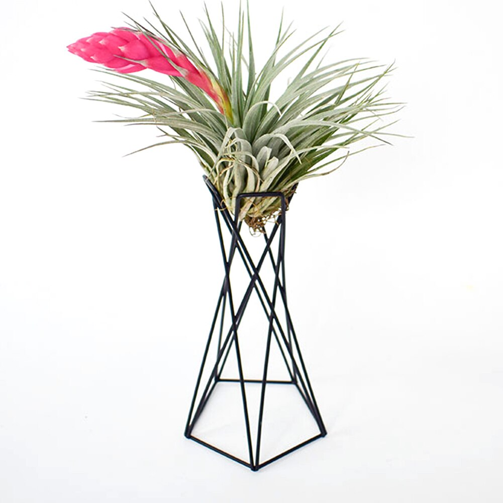 Tillandsia balkon kantoor luchtplant houder ijzeren kunst stabiele tuin bureaublad bloempotten standaard ornamenten huisdecoratie scandinavische stijl