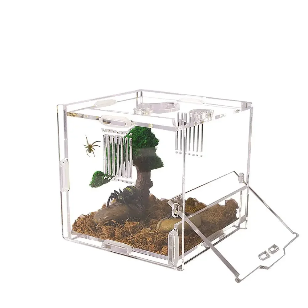 Caja de alimentación de araña acrílica, jaula acrílica transparente para Reptiles pequeños, hábitat, arañas saltadoras, jaulas antiescape para insectos, caja de cría: Default Title