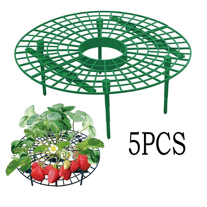 5 pièces fraise support Protection étagère support balcon plantation fruits légumes support fleur escalade vigne pilier jardinage outil