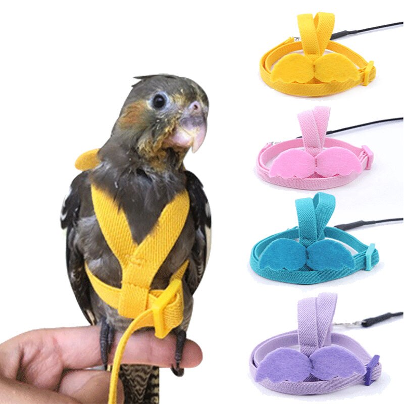 2m kæledyrs fuglesele og snor justerbare trækstropper til træningsreb til små papegøjer/papegøjer/cockatiel udendørs flyvende reb
