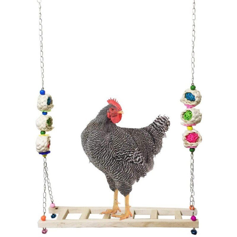 Chicken Ladder Swing Medium And Large Parrot Perch Wood Pet Toys For Hens Handmade Chicken Coop: B
