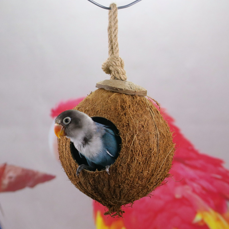 Papageien-Nest Aus Kokosnussschale – Natürliche Hängematte Mit Acryl-Schaukel Für Vögel