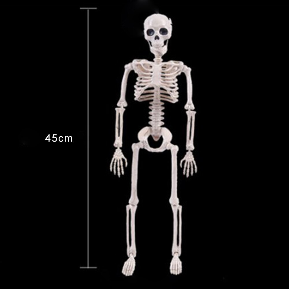 45Cm Menselijk Skelet Model Anatomisch Skelet Model Medische Leren Educatief Training Aid Halloween Party Decoratie