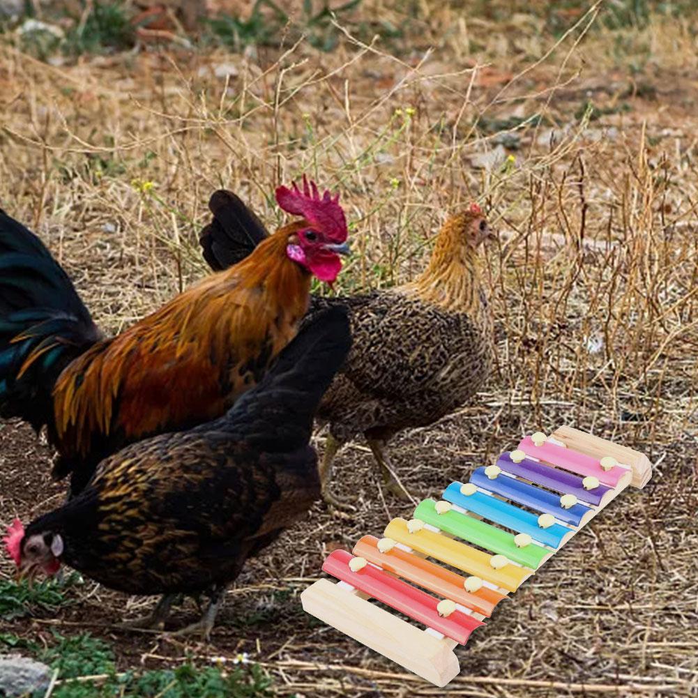 Kip Xylofoon Speelgoed 8 Toetsen Kip Pikken Speelgoed Geschikt Voor Kip Kip Coop Papegaaien