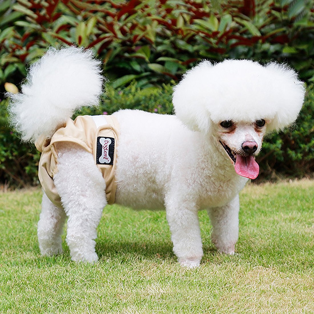 Dog Diapers Female Dog Shorts Breathable Physiological Pants Female Diaper Dog Sanitary Pants Underwear Briefs for Dogs