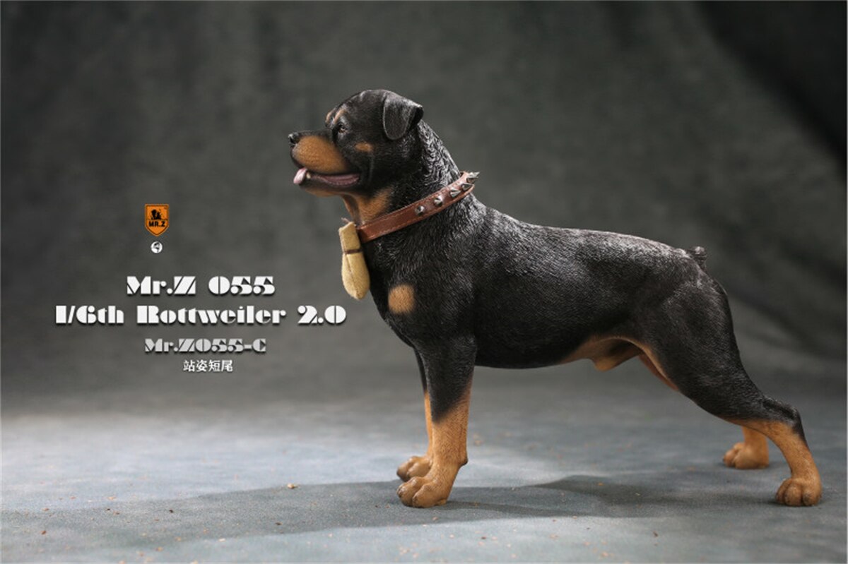 Mr.Z Studio 1:6 Rottweiler Figure Cute Police Pet Dog Animal Model Collector Decor Kid Resin Office Desktop Accessories: C