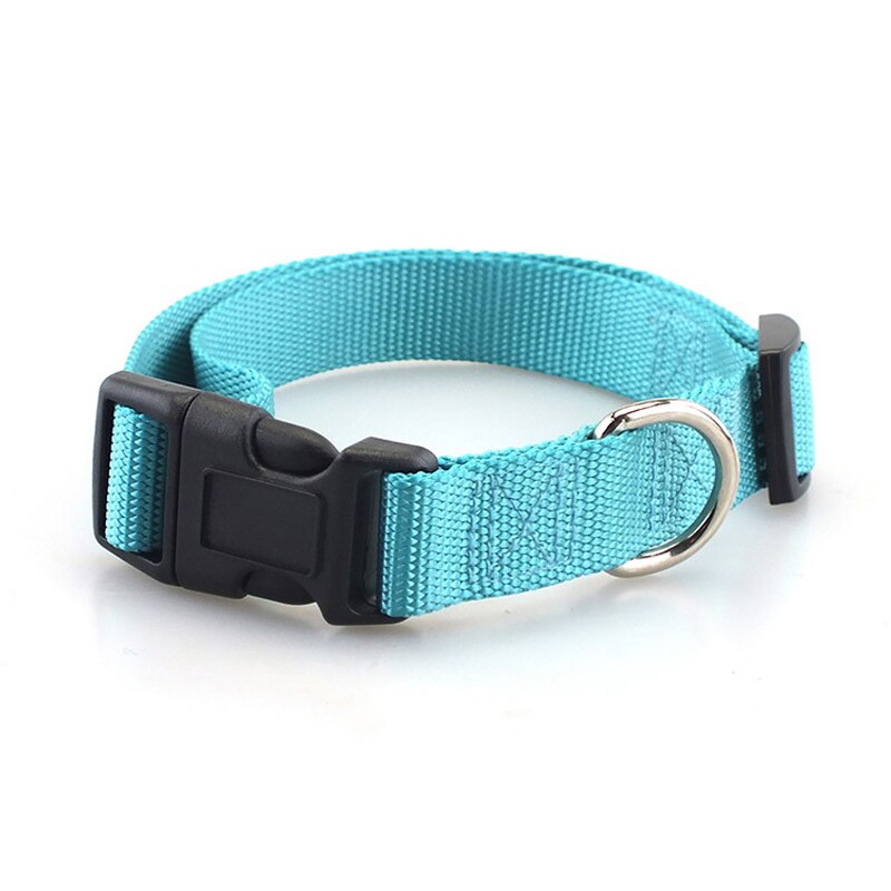 Klassiskt solid hundhalsband för hundar i nylon för små medelstora hundar kan matcha koppel och sele med snabbsnäppspänne: M 1.9cm / Himmelsblå krage