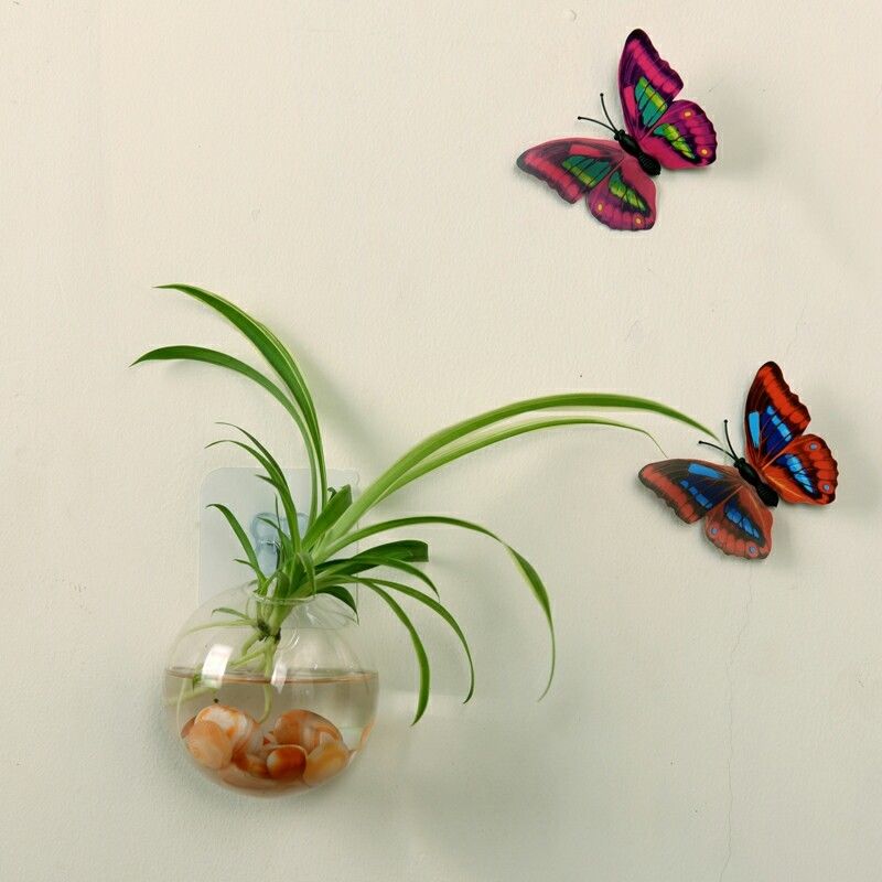 Hem naturliga blomvaser vägghängande grön växt hängande glasvas växtkrukor vägg akvarium akvariebehållare homw dekor