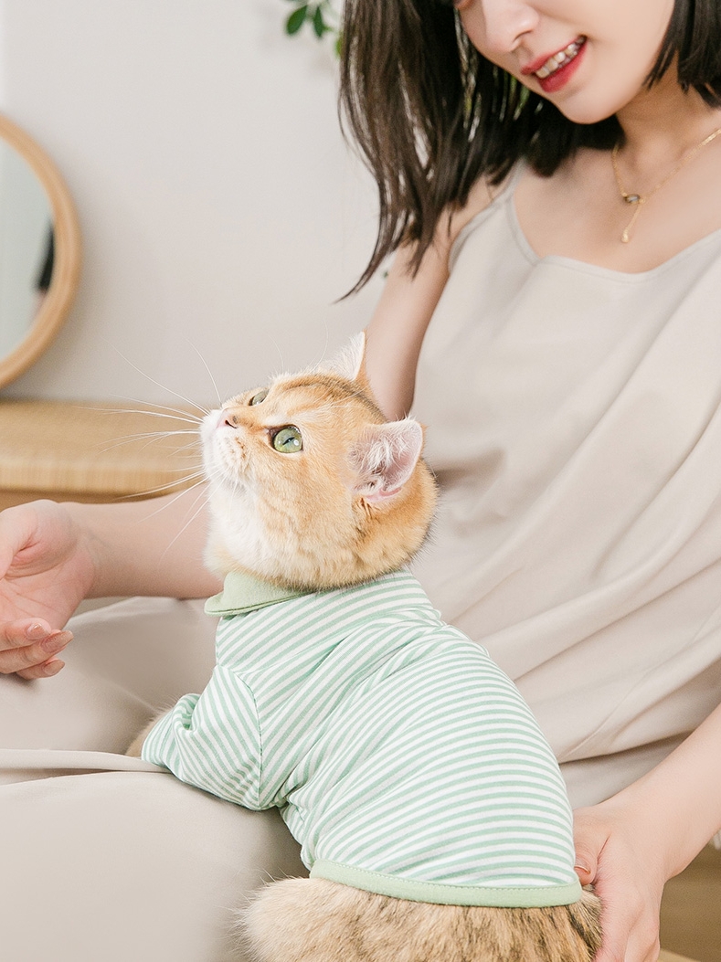 Koszulka dla psa koszulka piżama wiosna lato odzież dla psa płaszcz Doggie Kot szczeniak Yorkshire odzież pomorskie pudel Bichon kostiumy