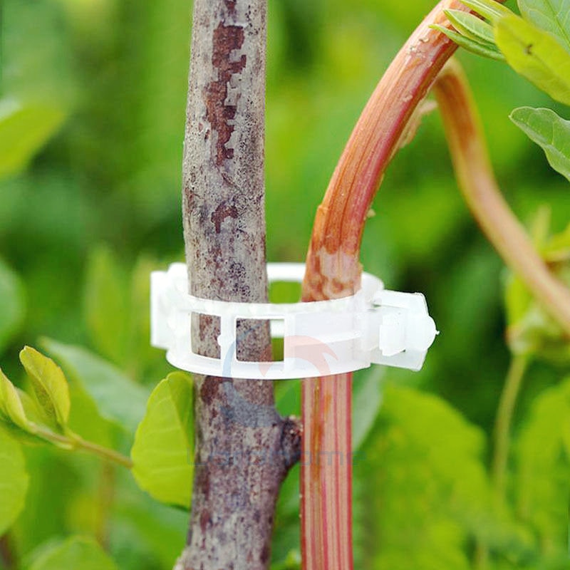 50 Pcs Tomaat Veggie Tuin Plant Ondersteuning Clips Voor Latwerk Twine Kas Invernadero