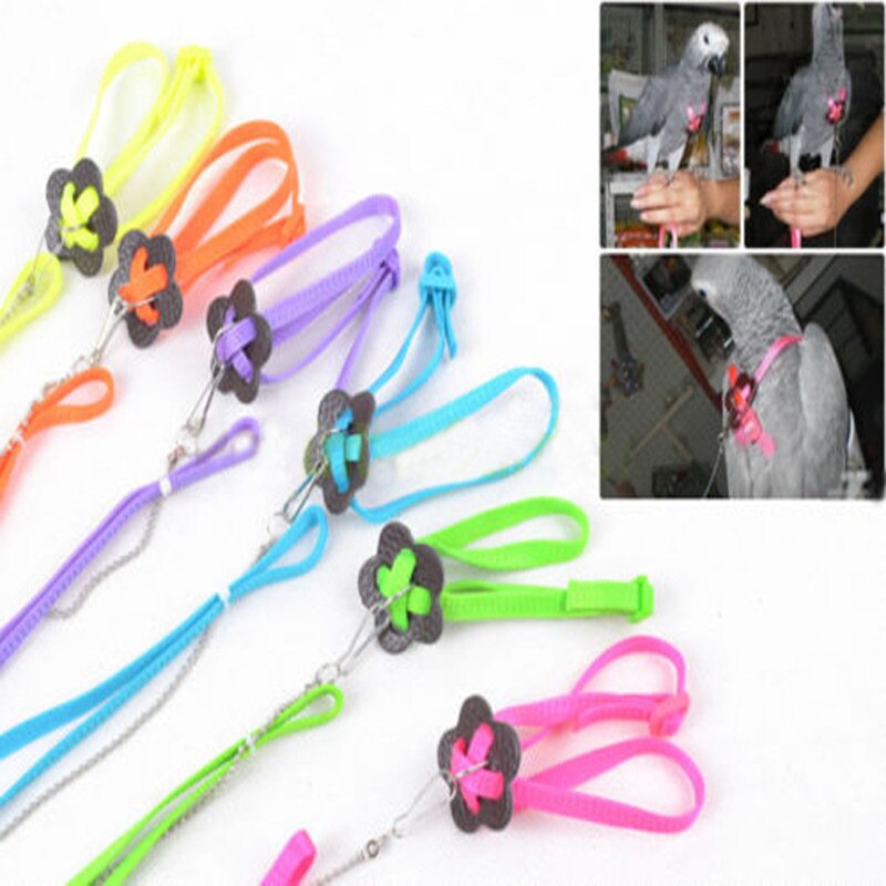 Portable Bird Parrot Traction Rope Bird Traction Rope Bird Flying Rope Walking Rope Adjustable Anti-bite Training Rope