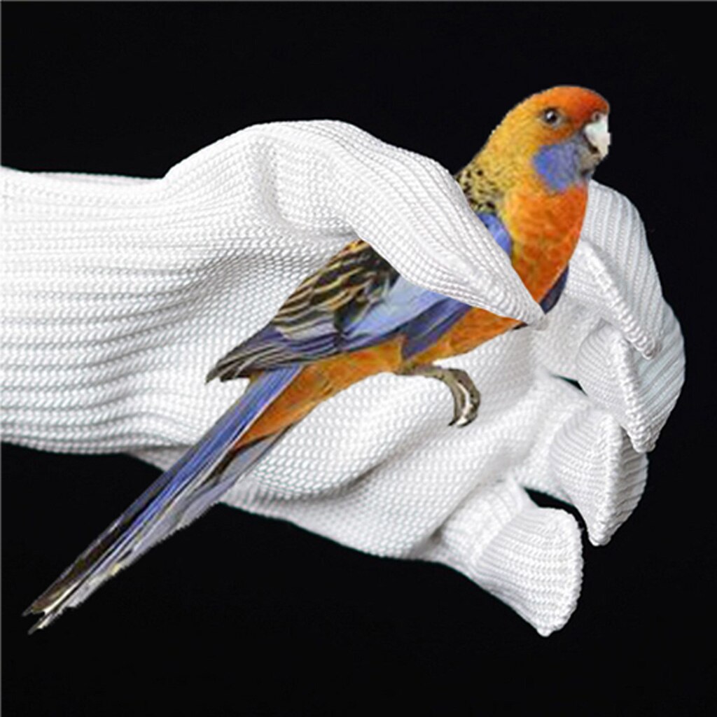 Animal Handling Anti-bite/scratch Handschoenen Voor Hond Kat Vogel Snake Papegaai Hagedis Wilde Dieren Bescherming Handschoenen, Blauw, 55cm, L