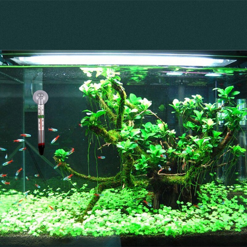 1Pcs Glas Meter Aquarium Fish Tank Glas Water Temperatuur Thermometer Met Mooie Zuignap