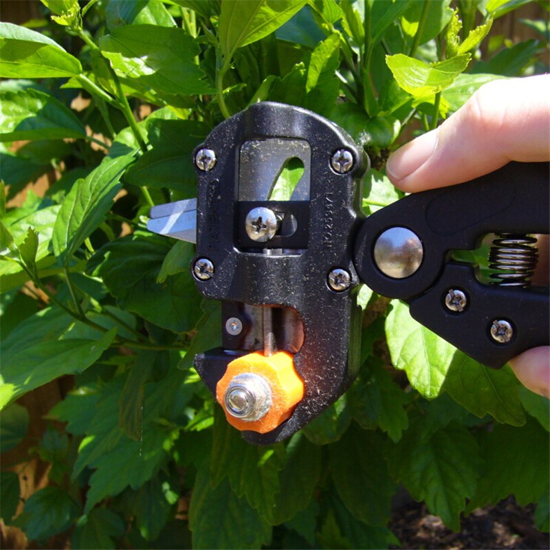 Kit de greffage de jardin | Outils de coupe de taille, Kit 2-en-1 outils de greffe, Kit de sécateur, greffe de oméga, U