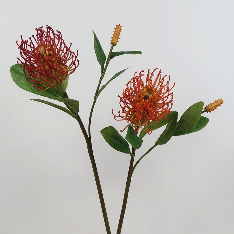 artificial Pincushion Flower Tropical Fox Tail Flower DIY wedding home floral decor