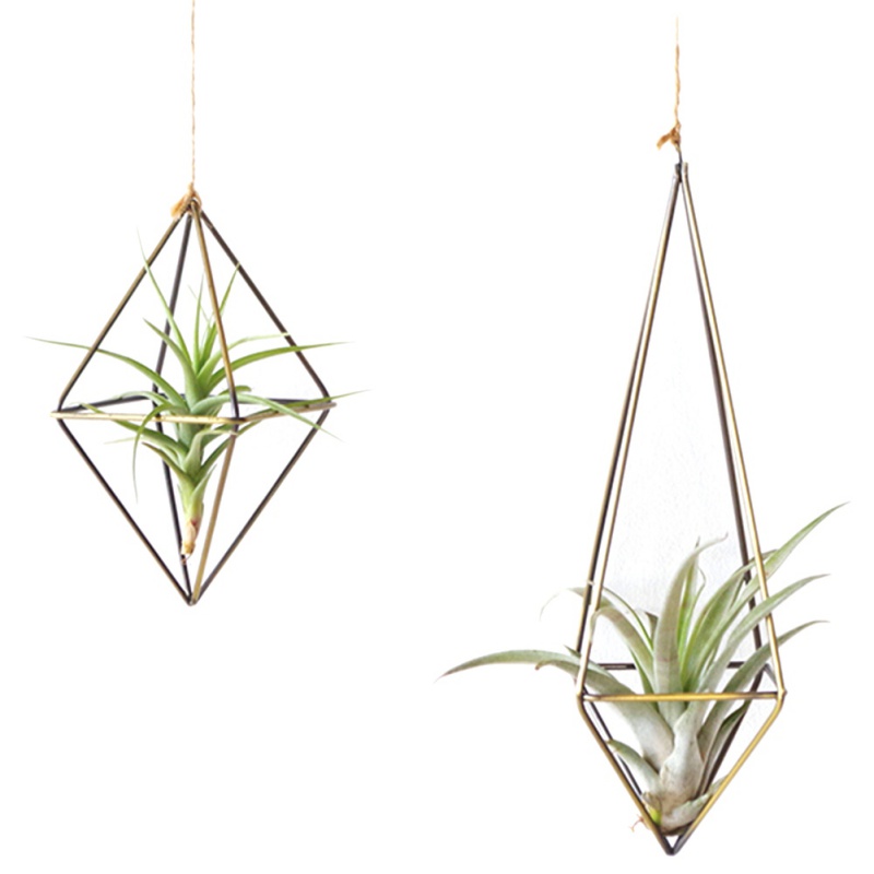 3pcs Flower Stand Tillandsia Stand Indoor Plants Indoor Life Display Racks For Plants Plant Stand Tillandsia Display Rack Outdoor Plant Metal Air Display Stands