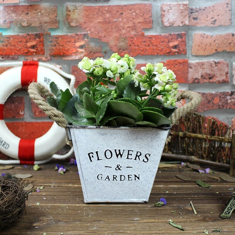 Small metal buckets planters flower decorative vas grandado