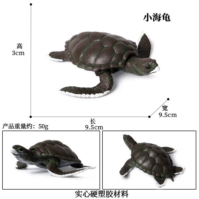 Simulatie Oceaan Dier Zeeschildpad Serie Model Action Figures Collection Miniatuur Cognitie Creativiteit Speelgoed Voor Kinderen: M-370