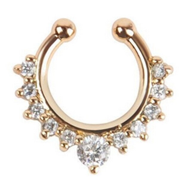 Legering Hoop Nose Ring Neus Piercing Nep Piercing Septum Clicker Nummers Hanger Voor Vrouwen Lichaam Sieraden: B