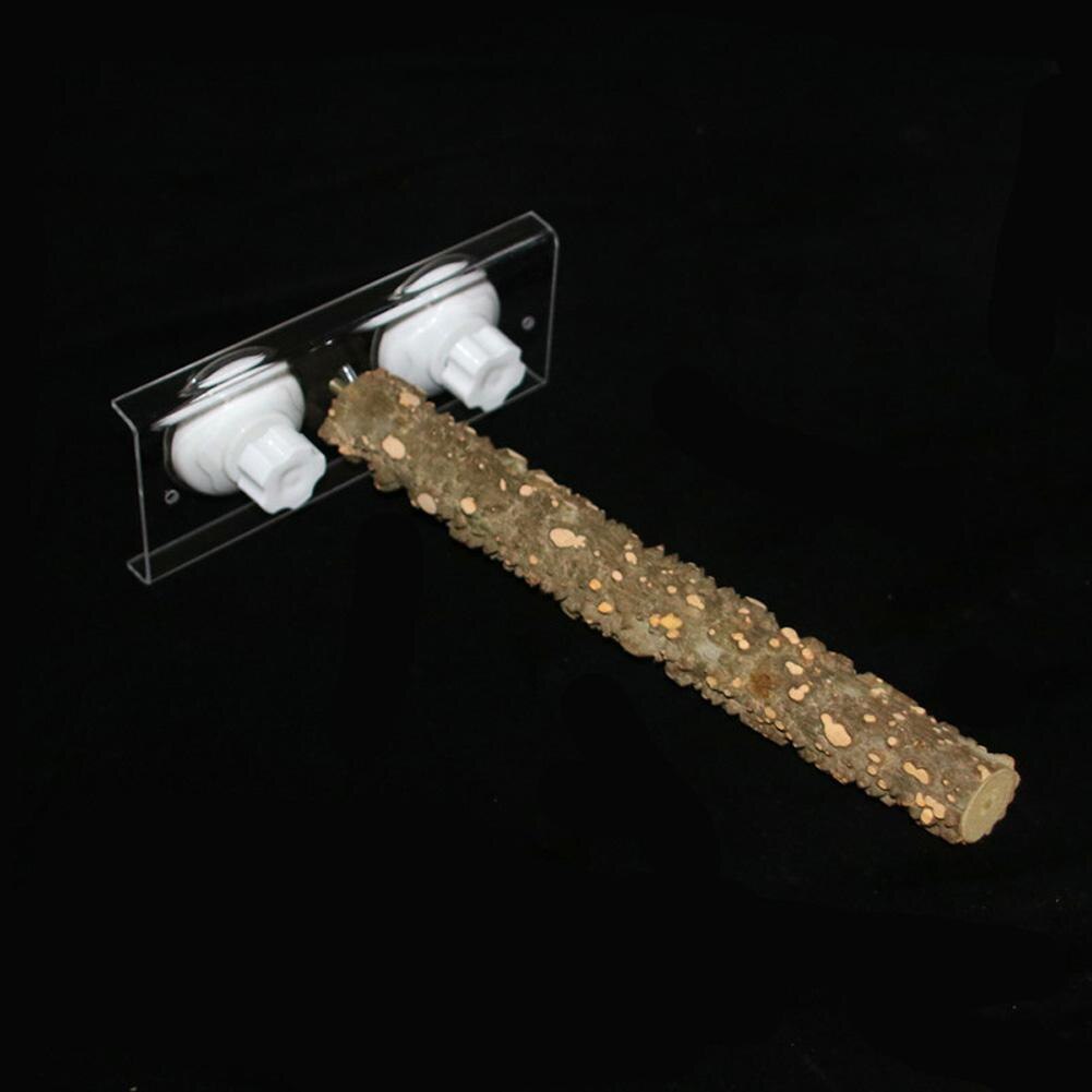 Palo de madera de pie para aves y loros, ventosa, barra de ducha, juguete de baño, suministro para mascotas: Zanthoxylum 30cm