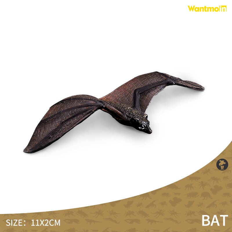 World-famous Dangerous Poisonous Wild Animal with Honey badger spider mosquito monitor lizard scorpion centipede snake Halloween: bat