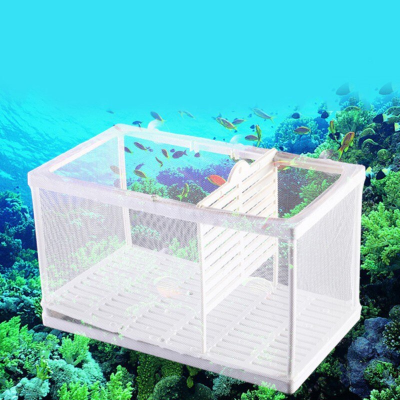 Akvarium inkubator oppdretter akvarium avl isolasjon boks akvarium klekkeri vokse frøplanter reproduksjon holder