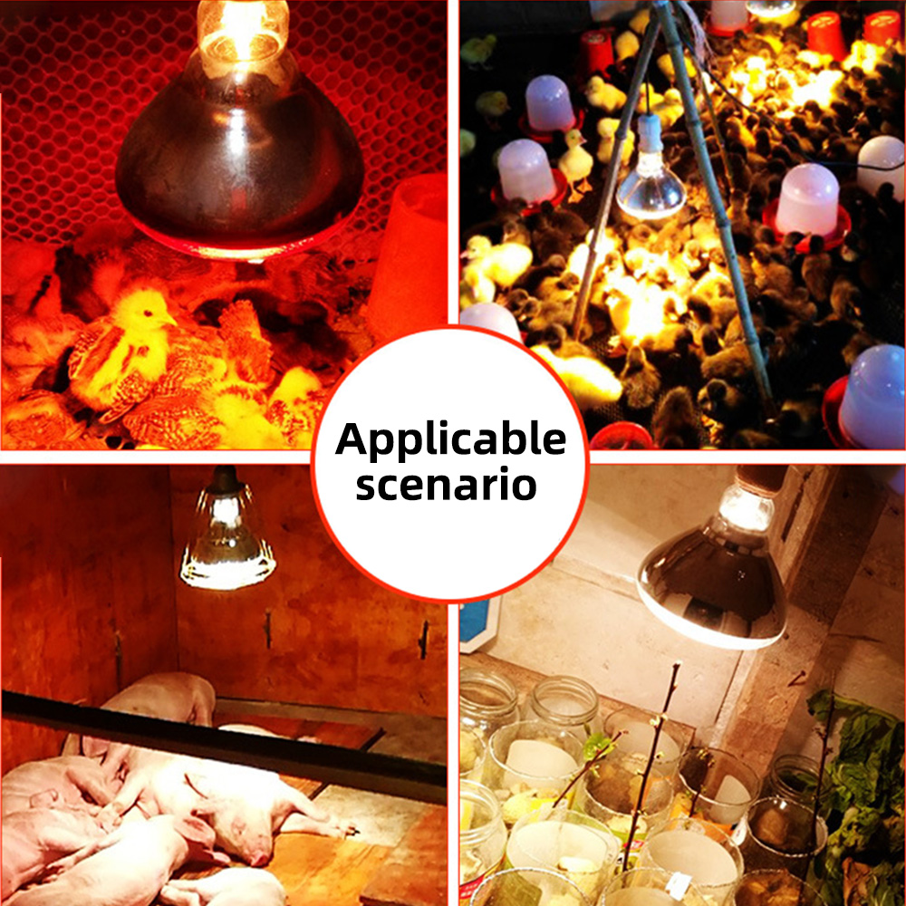 Lampe chauffante pour volaille, 220V, rayon infrarouge, conservation thermique, service de chauffage pour reptile, botanique, amphibien, animal de compagnie, bétail