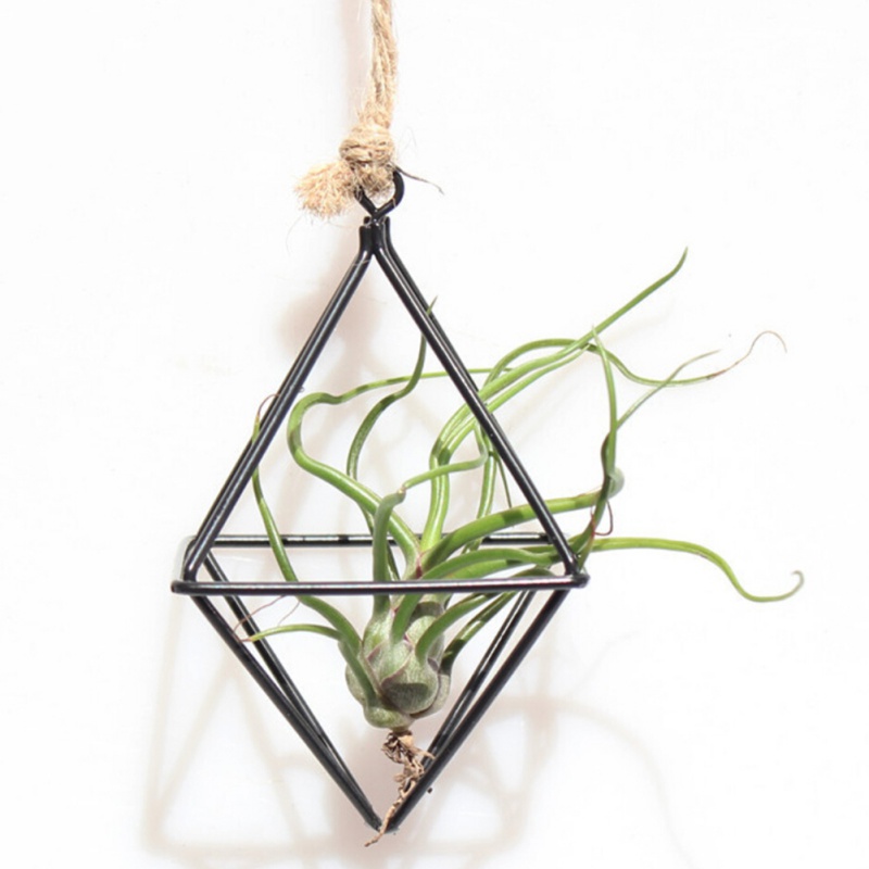 Freestanding Hanging Planters Geometric Swing Wrought Iron Tillandsia Air Plants Holder Triangular Shaped Metal Rack Home Decor: Black S