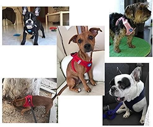 BPS Arnés para Perros Mascotas M-XL Callar para Perros Mascotas 3 Tamaños para Elegir para Perro pequeño Mediano y Grande