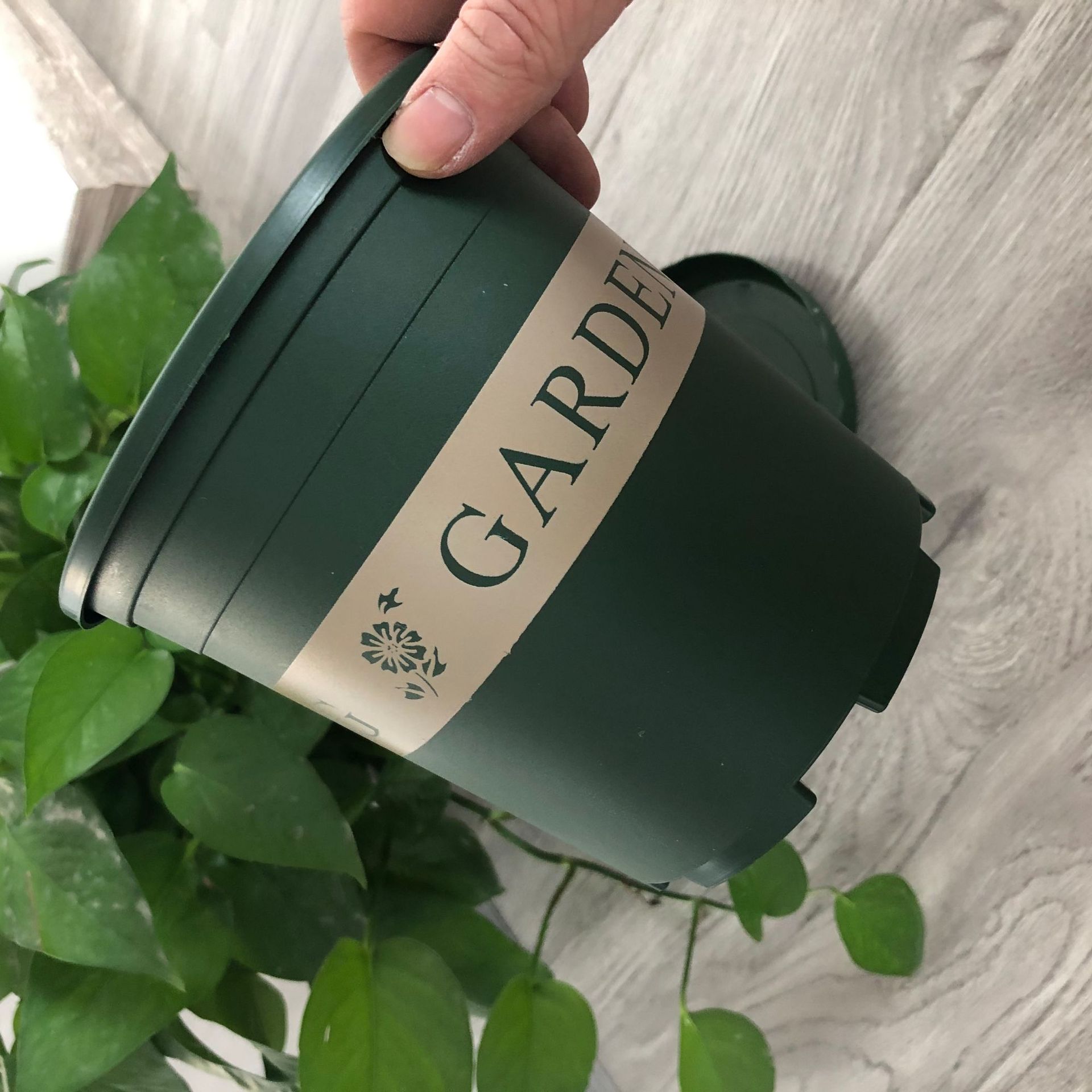 Maceta de resina de orquídeas para el hogar, cuenco grande con bandeja de plástico grueso para jardinería, galón de segunda generación