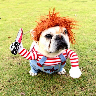 De Dodelijke Pop Hond Verandert In Een Halloween Huisdier Kostuum, De Hond Is Creatief En Leuk, kat En Hond Kleding