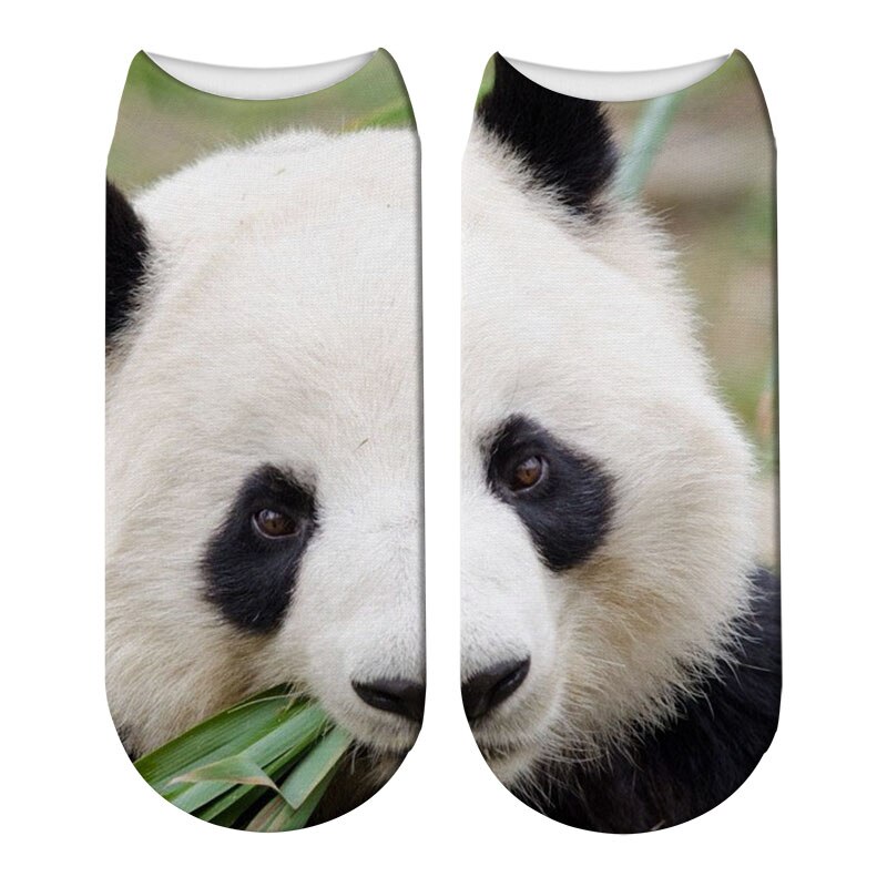 Schattige panda bedrukte sokken korte dieren damessokken terreur nieuwigheid sokken lage enkelsokken 5 zws 69