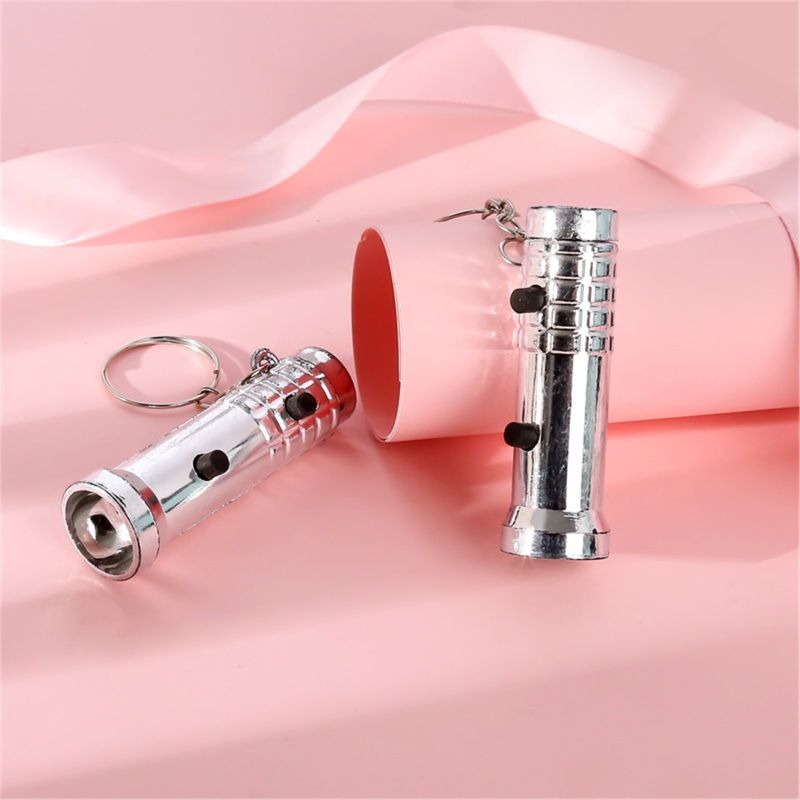 . 2in1 Mini Flashlight Detector UV Light Keychain Kids Toy