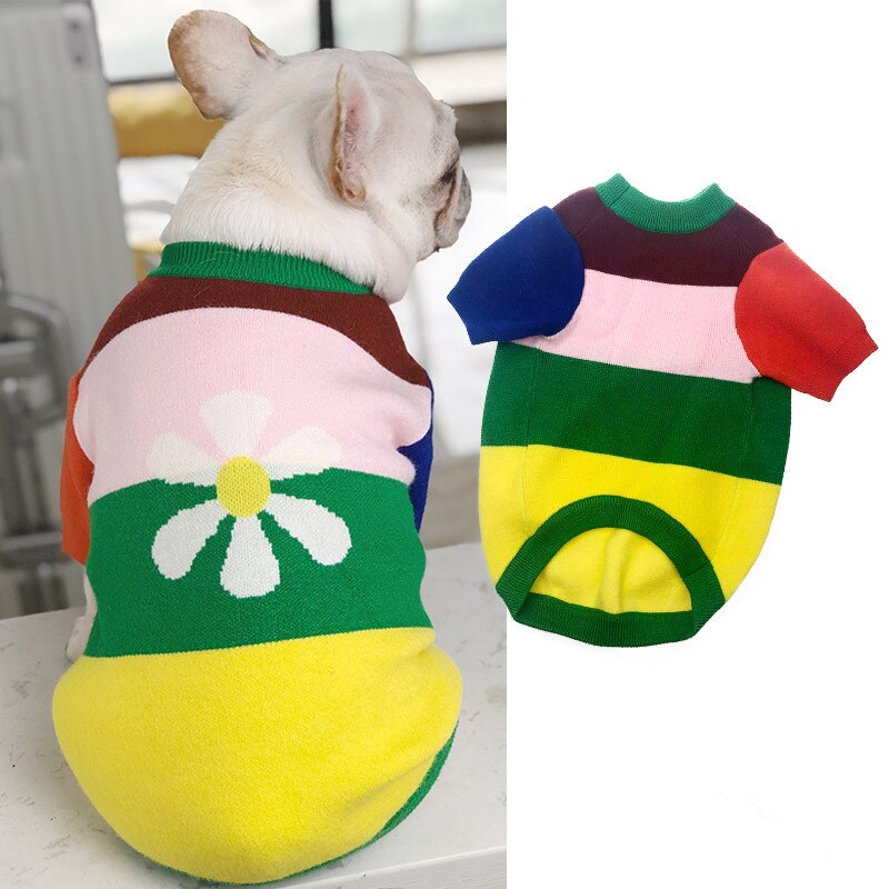 Stretch hund sweater frakke efterår vinter hundetøj puddel bichon schnauzer mops fransk bulldog tøj strik tøj mops tøj