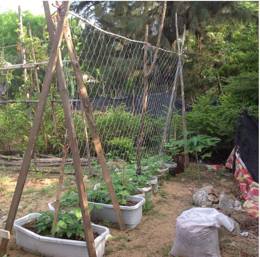 Tuinplant Trellis Netting Plant Ondersteuning Wijnstok Klimmen Hydrocultuur Tuinnet Accessoires Multi-Use