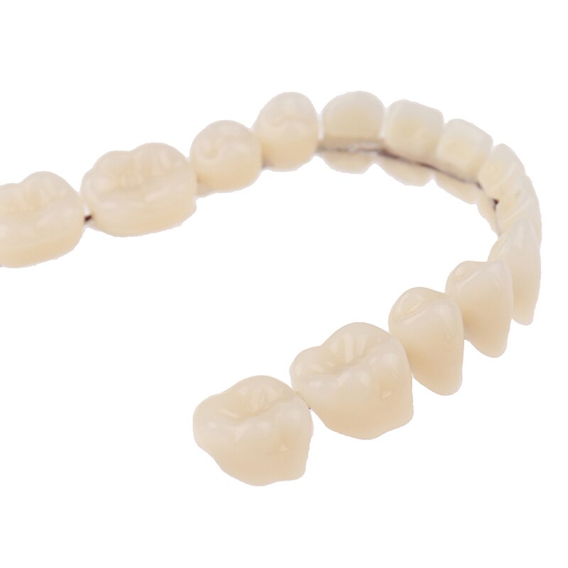 Dentadura de resina para dentaduras, dentadura superior e inferior, contorneada Artificial, herramientas para dentaduras, A2 28 unids/set