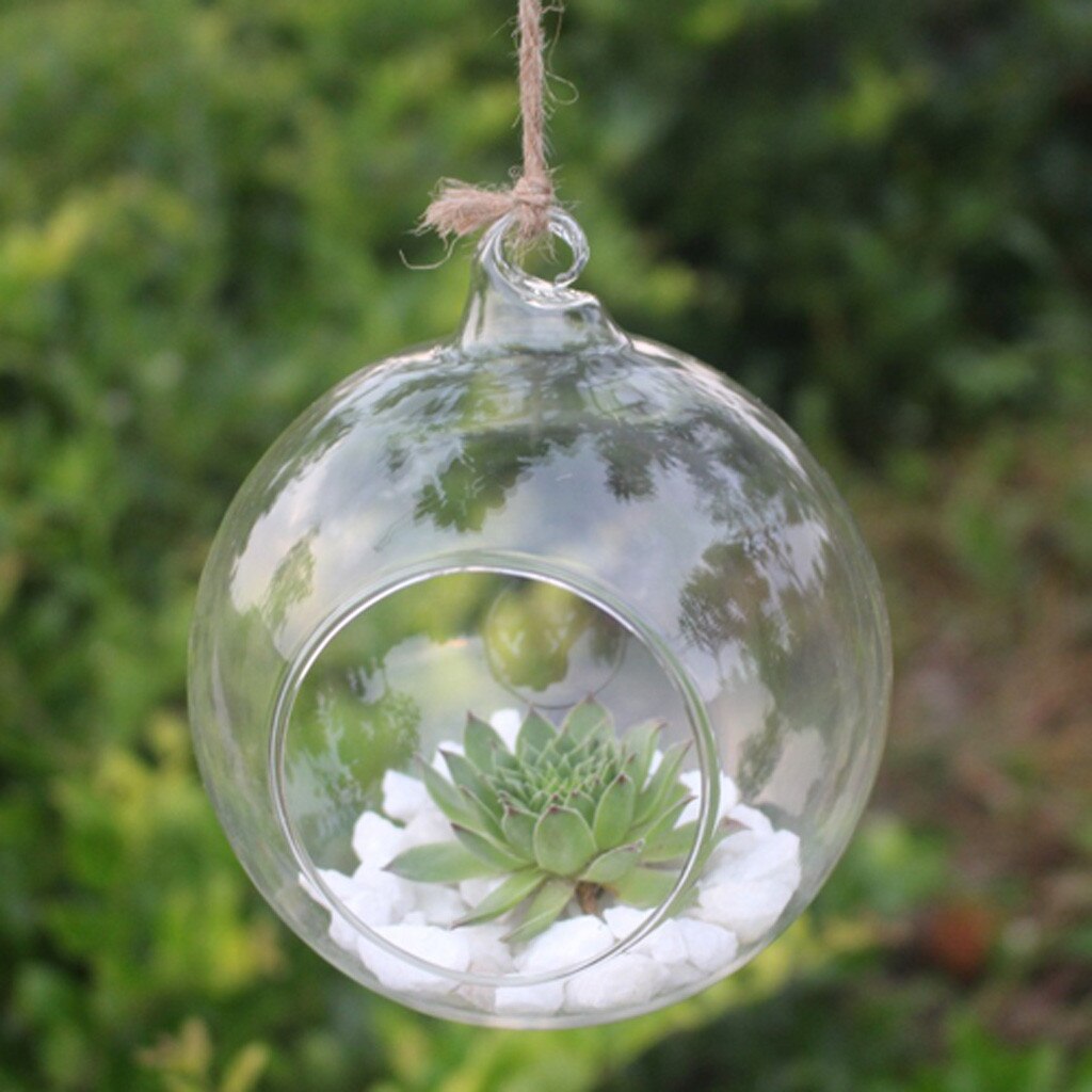 Blomst hengende vase glass planter plante terrarium container hjem bryllup dekor