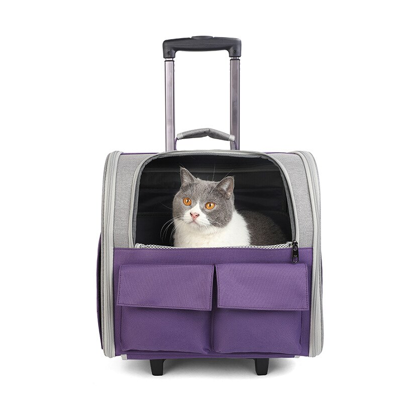 Mochila con carrito para perro y mascota, mochila plegable portátil para animales al aire libre, bolsa de transporte y maleta con ruedas para mascotas, estuche de viaje al aire libre