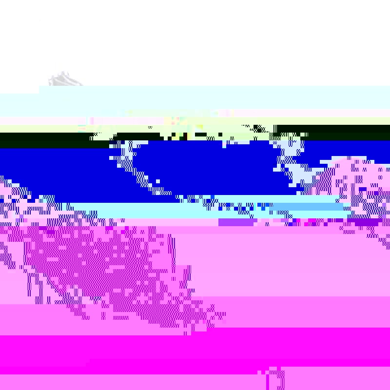 Unisex Pirate Eye Patch Black Single Eye Mask Adjustable Eye Pirate Costume Mask Child Halloween Patch Concave Cosplay Prop: rose  red