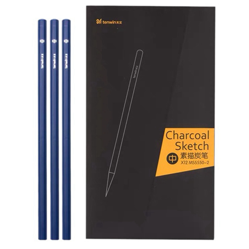 TEN-WIN Drawing Pencil, Charcoal Pen for Drawing, Suitable for Drawing Art, Beginners and Artists: Neutral type