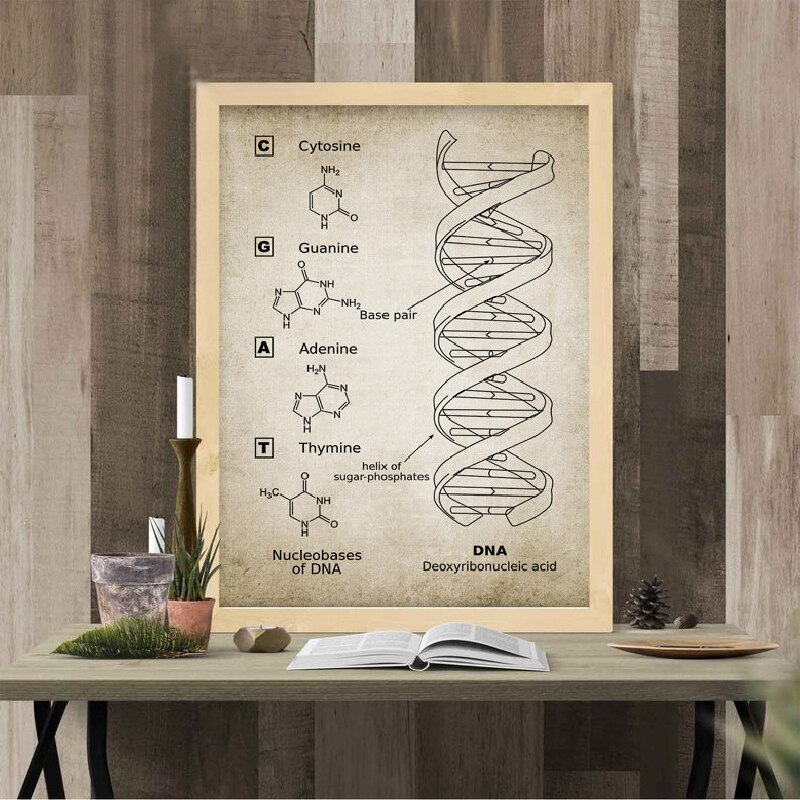 Dna og rna genetisk kode wall art prints genetik biokemi studerende vintage videnskab retro plakat kraftpapir