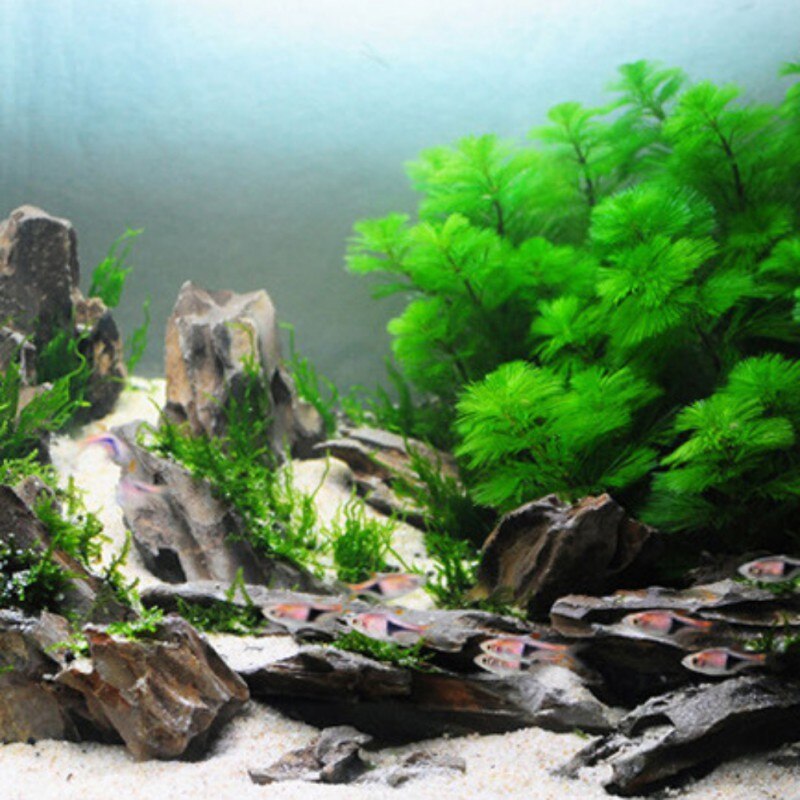 1pc akvarium landskabspleje mos kugle mos lim vand græs akvarie dekoration øjeblikkelig klæbende slim slim gel