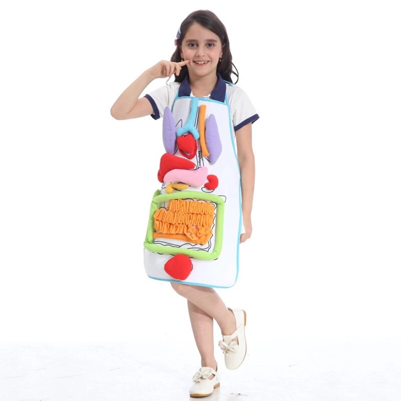 Anatomy Apron Human Body Organs Educational Insights Human Organs Home Apron Aids Toys For Children Body Teaching