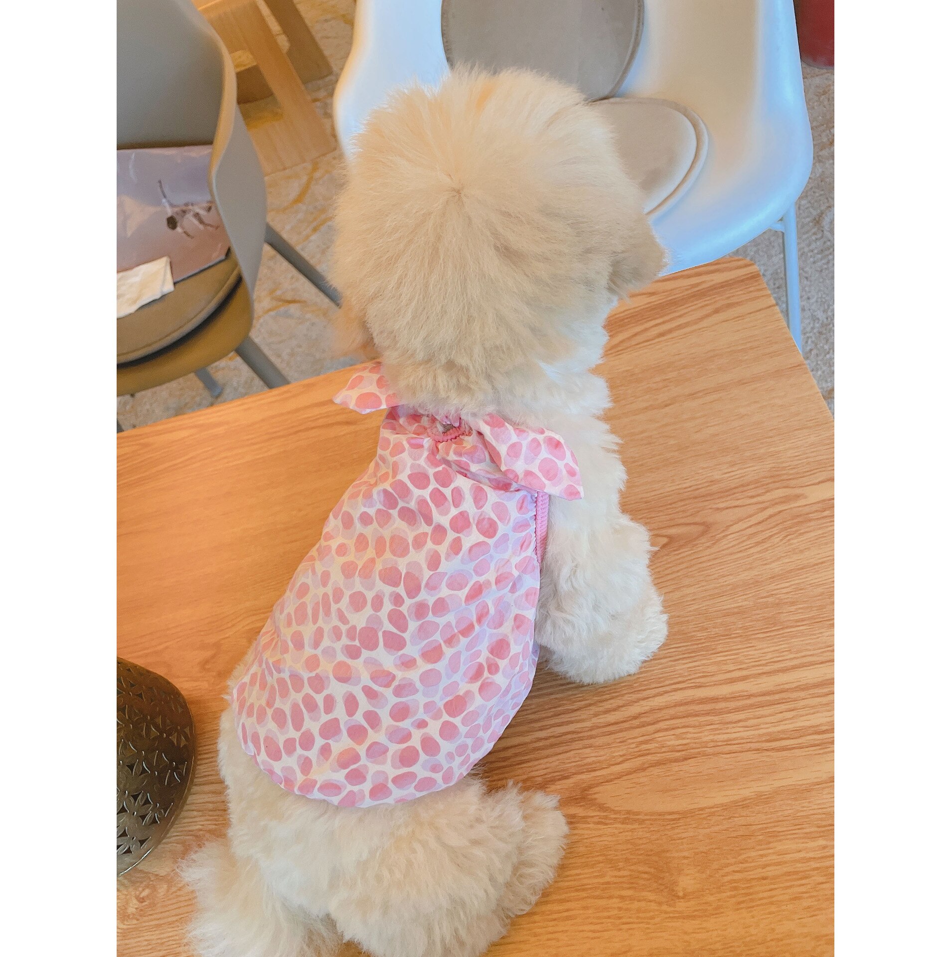 Dog Skirt Vest for Small Medium Dogs Cute Dot Dog Dress Maltese Girl Skirts Pomeranian Clothes Summer Pet Dog Apparel: Pink / M