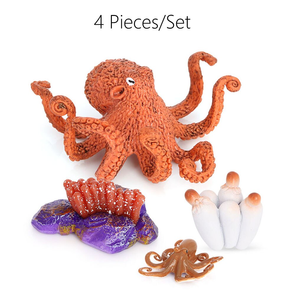 1 Set Life Cycle Kit Simulated Growing Model Early Educational Lovely Displaying Prop for Children Baby: Default Title