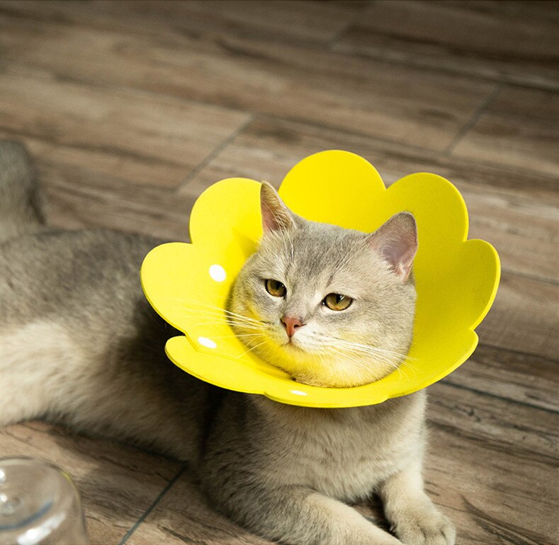 Solblomma form kattvalp hals skyddande cirkel krage anti bett anti grepp anti slickande katt hals elizabethan söt krage