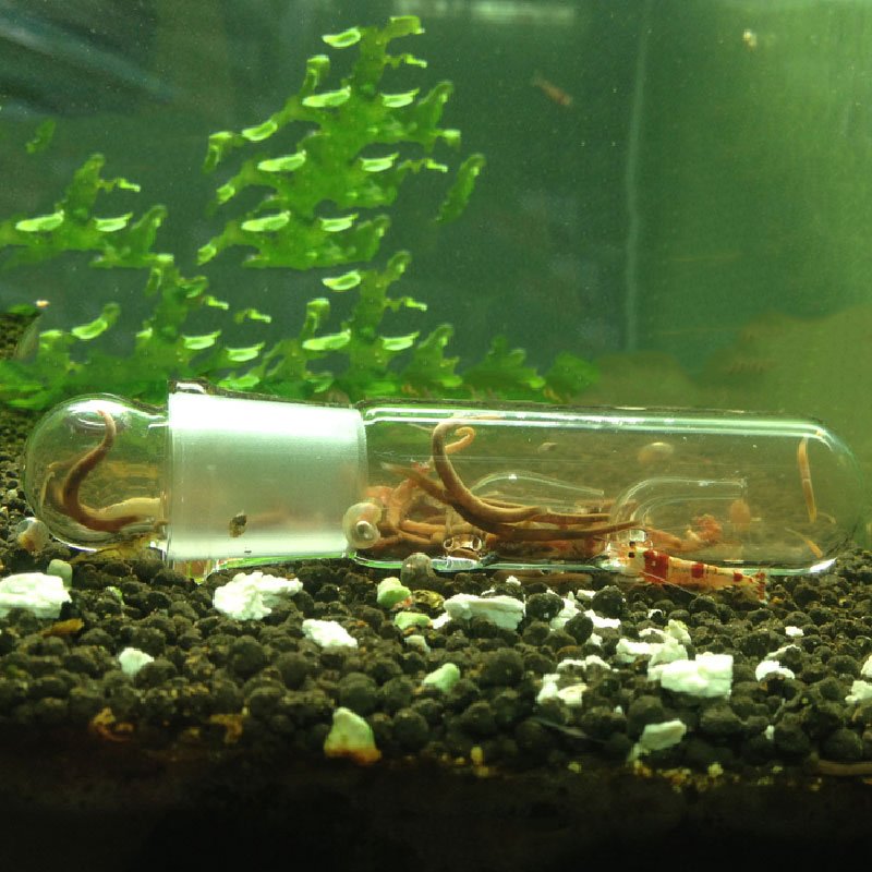VASTOCEAN – piège planaire en verre pour Aquarium, dispositif d&#39;élimination des vers, des truies, des saucias, des escargots